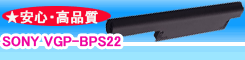 VGP-BPS22
